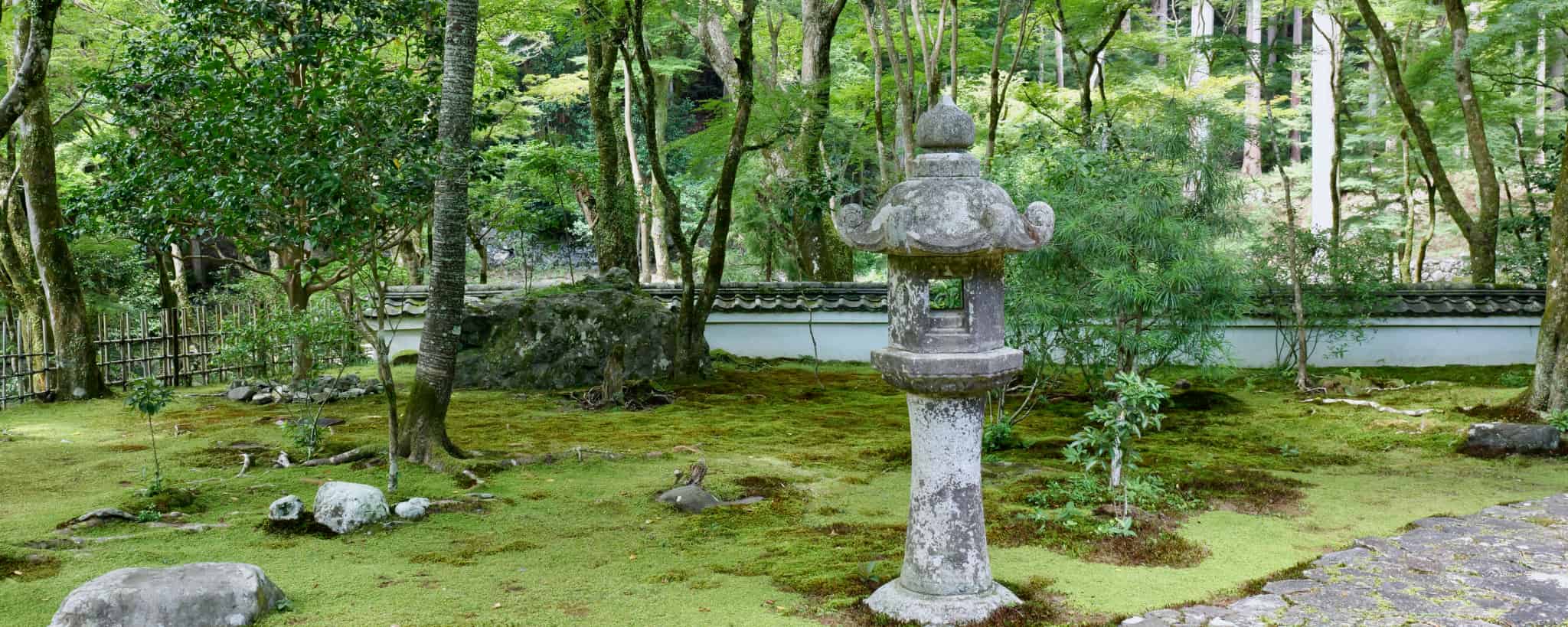 Kyoto Prefecture, Kyoto, Japan, Kansai Region, Kansai, Japan Trip, Sightseeing in Japan, Japanese Tea, Maccha, Matcha, Green Tea, Geisha, Geiko, Maiko, Tradition