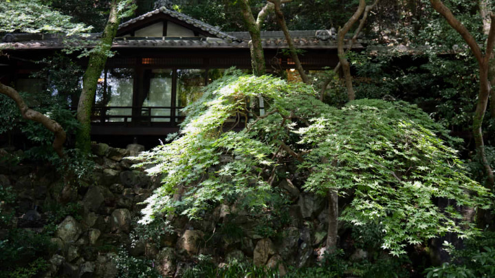 箕面市, 箕面, 大阪府, 大阪, 日本, 箕面公園, 箕面山, 箕面大滝, 滝, 一行寺楓, 紅葉の天麩羅, 紅葉, 天麩羅, 天ぷら, 瀧安寺, 仏教, 寺, 寺院, 宗教, 文化, 伝統, 伝統文化, 旅行, 旅