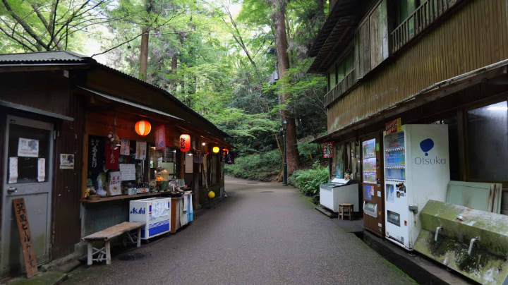 箕面市, 箕面, 大阪府, 大阪, 日本, 箕面公園, 箕面山, 箕面大滝, 滝, 一行寺楓, 紅葉の天麩羅, 紅葉, 天麩羅, 天ぷら, 瀧安寺, 仏教, 寺, 寺院, 宗教, 文化, 伝統, 伝統文化, 旅行, 旅