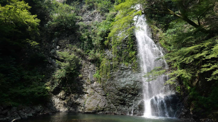 箕面市, 箕面, 大阪府, 大阪, 日本, 箕面公園, 箕面山, 箕面大滝, 滝, 一行寺楓, 紅葉の天麩羅, 紅葉, 天麩羅, 天ぷら, 瀧安寺, 仏教, 寺, 寺院, 宗教, 文化, 伝統, 伝統文化, 旅行, 旅