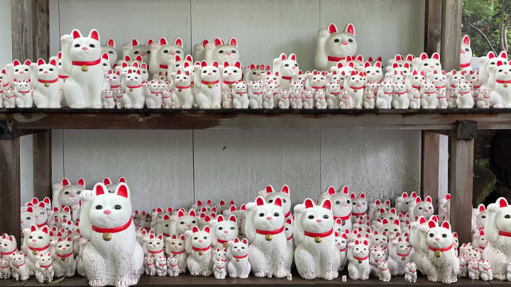 Daikeizan Gotokuji, Daikeizan, Gotokuji, Setawaya Ward, Temple, Maneki-neko, Traditional Craft, Traditional Culture, Tradition, Tokyo Metropolis, Tokyo, Japan