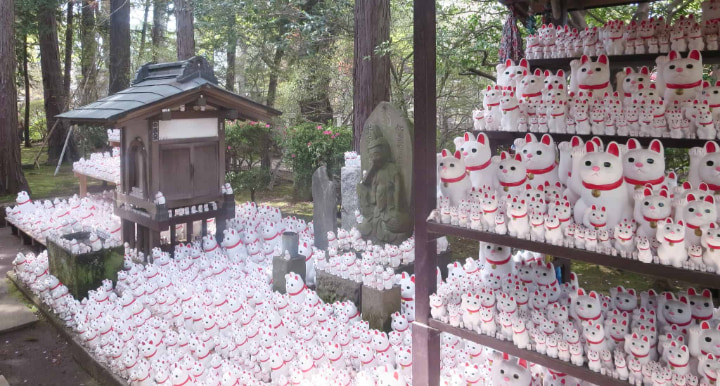 Daikeizan Gotokuji, Daikeizan, Gotokuji, Setawaya Ward, Temple, Maneki-neko, Traditional Craft, Traditional Culture, Tradition, Tokyo Metropolis, Tokyo, Japan