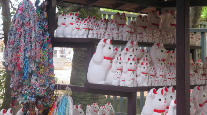 Daikeizan Gotokuji, Daikeizan, Gotokuji, Setawaya Ward, Temple, Maneki-neko, Traditional Craft, Traditional Culture, Tradition, Tokyo Metropolis, Tokyo, Japan