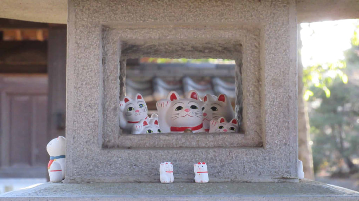 Daikeizan Gotokuji, Daikeizan, Gotokuji, Setawaya Ward, Temple, Maneki-neko, Traditional Craft, Traditional Culture, Tradition, Tokyo Metropolis, Tokyo, Japan