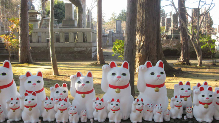 Daikeizan Gotokuji, Daikeizan, Gotokuji, Setawaya Ward, Temple, Maneki-neko, Traditional Craft, Traditional Culture, Tradition, Tokyo Metropolis, Tokyo, Japan