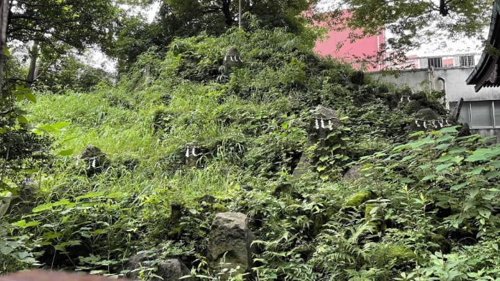 Onoterusaki shrine, Shrine, Shinto, Tokyo, Tokyo Metropolis, Japan