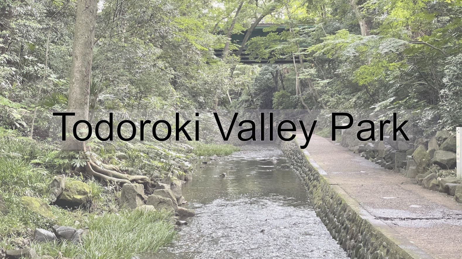 Todoroki Valley Park, Valley, Park, Tokyo Metropolis, Tokyo, Japan