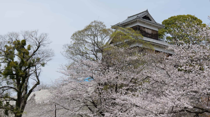 Kumamoto Castle, Kumamoto, Kumamoto Prefecture, Kato Kiyomasa, Castle, War, Souvenir, Local Food, Japan
