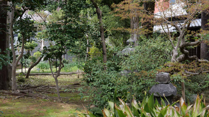 Natsume Sōseki’s Former Residence Uchitsuboi, Natsume Sōseki, Former Residence, Uchitsuboi, Kumamoto Prefecture, Kumamoto City, Kumamoto, Author, Book, Books, Meiji era, Meiji, Japan