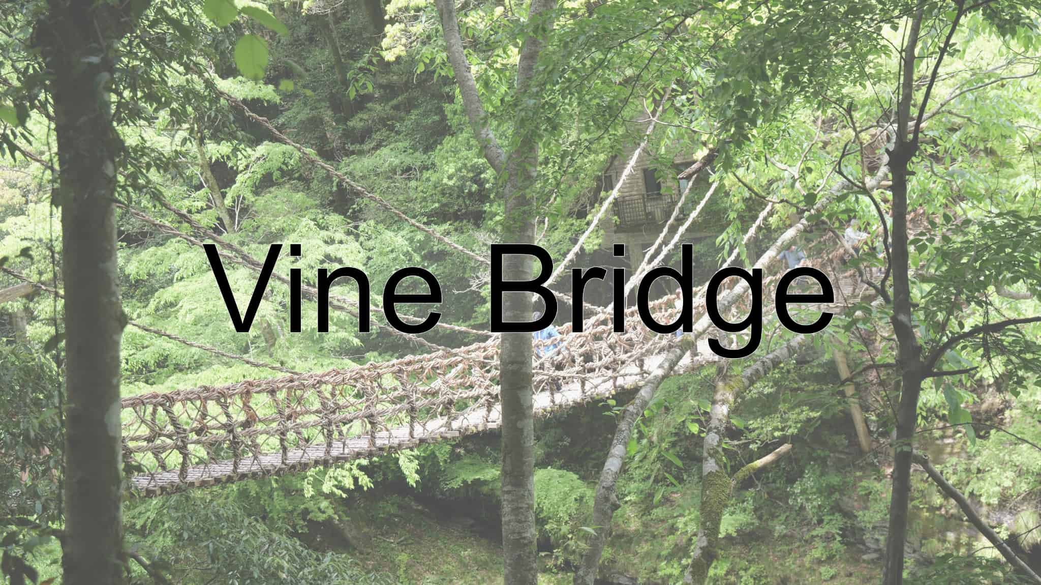 Vine Bridge, Vine, Bridge, Iya, Tokushima Prefecture, Tokushima, Japan