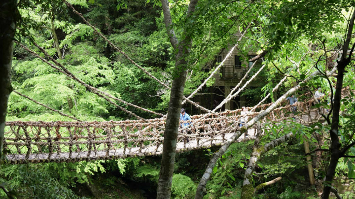 Vine Bridge, Vine, Bridge, Shirakuchi Vine, Iya, Mountains, Mountain, Miyoshi City, Miyoshi, Tokushima Prefecture, Tokushima, Sightseeing, Genpei War, Genpei, Heike, Japan