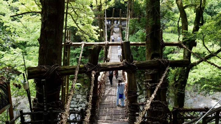 Vine Bridge, Vine, Bridge, Shirakuchi Vine, Iya, Mountains, Mountain, Miyoshi City, Miyoshi, Tokushima Prefecture, Tokushima, Sightseeing, Genpei War, Genpei, Heike, Japan