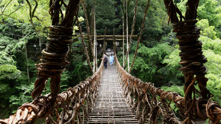 Vine Bridge, Vine, Bridge, Shirakuchi Vine, Iya, Mountains, Mountain, Miyoshi City, Miyoshi, Tokushima Prefecture, Tokushima, Sightseeing, Genpei War, Genpei, Heike, Japan