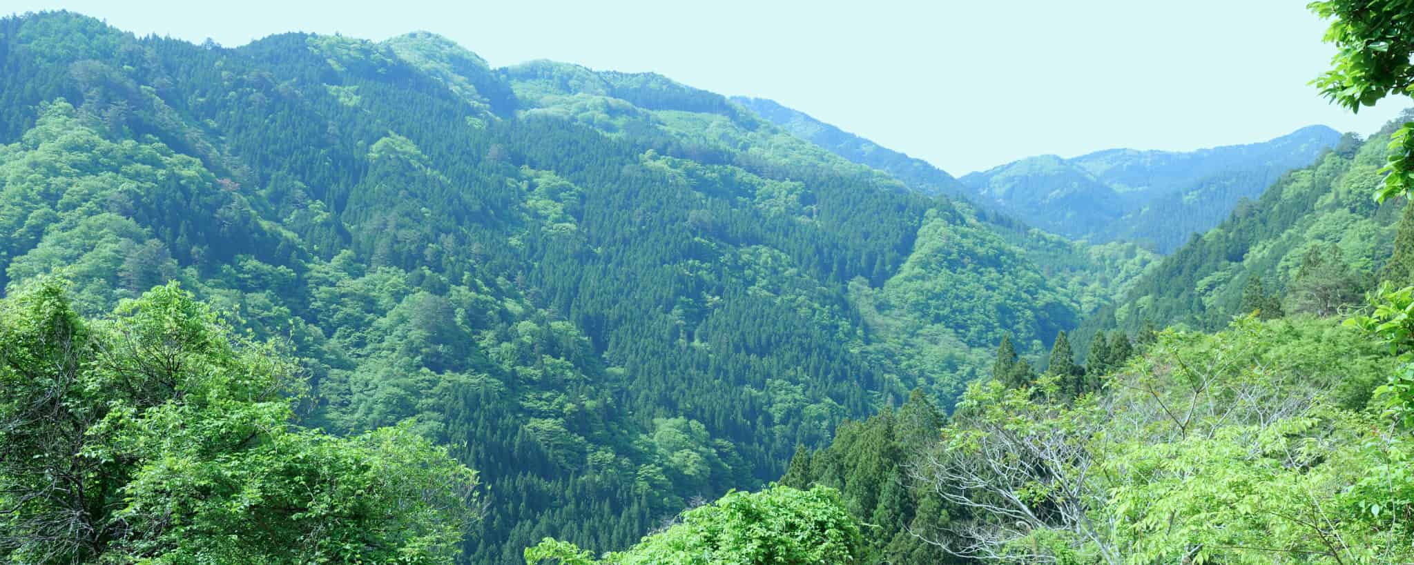 徳島県, 徳島,　四国地方, 四国, 祖谷, 日本, 日本旅, 日本観光, 古民家, 篪庵, ちいおり, 阿波踊り, 祭り